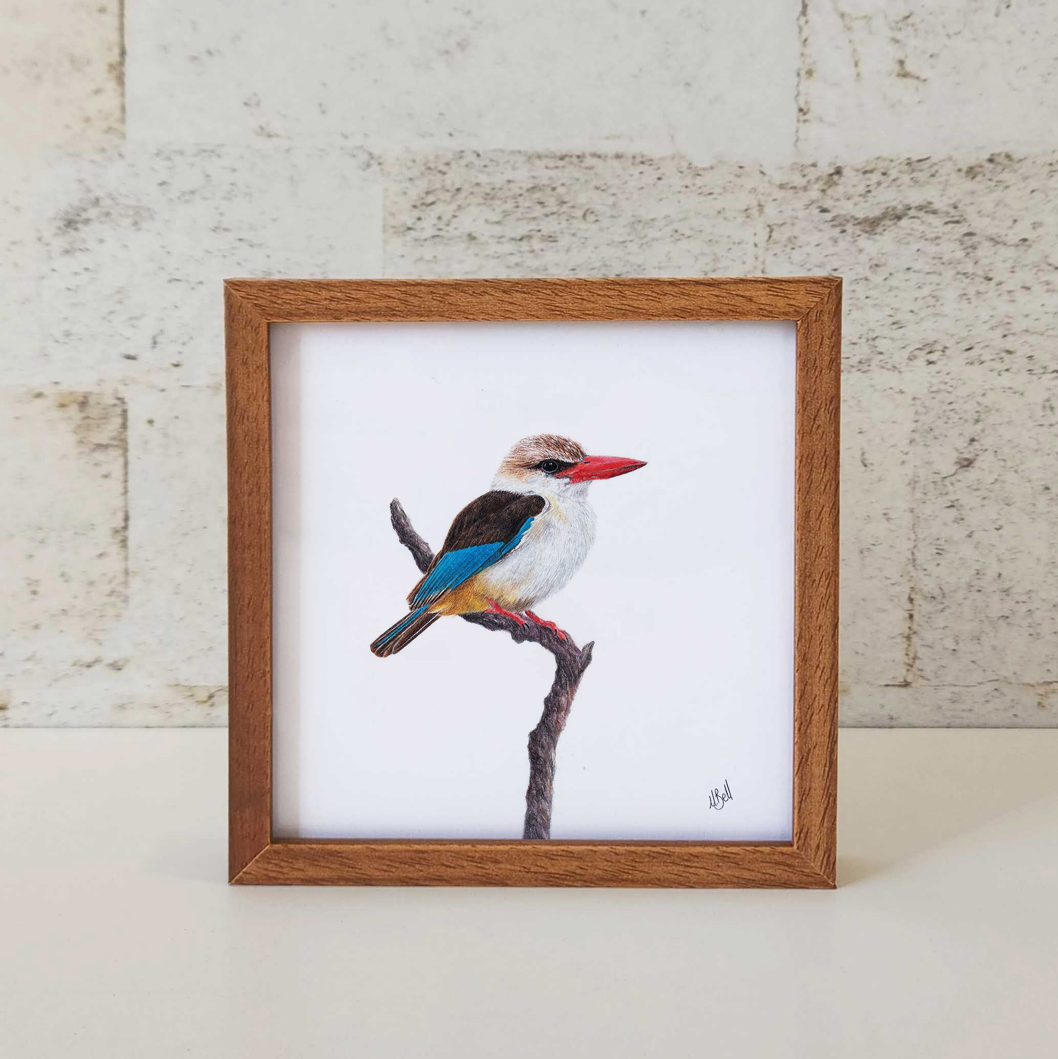 Kiaat wood framed miniature artwork of a Brown Hooded Kingfisher, part of wildlife artist Matthew Bell's birds of South Africa gallery