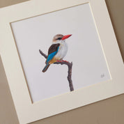 Brown Hooded Kingfisher South African bird art