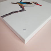 Stretched canvas South African bird artwork of a pair of a Brown Hooded Kingfisher