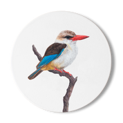 Brown Hooded Kingfisher Wooden Coaster - BHK