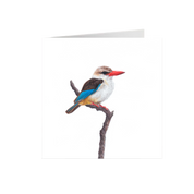 Brown Hooded Kingfisher Greeting Card - BHK