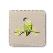 Brown Headed Parrot Bird leather coaster by South African wildlife artist Matthew Bell