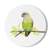 Brown Headed Parrot Wooden Coaster - BHP