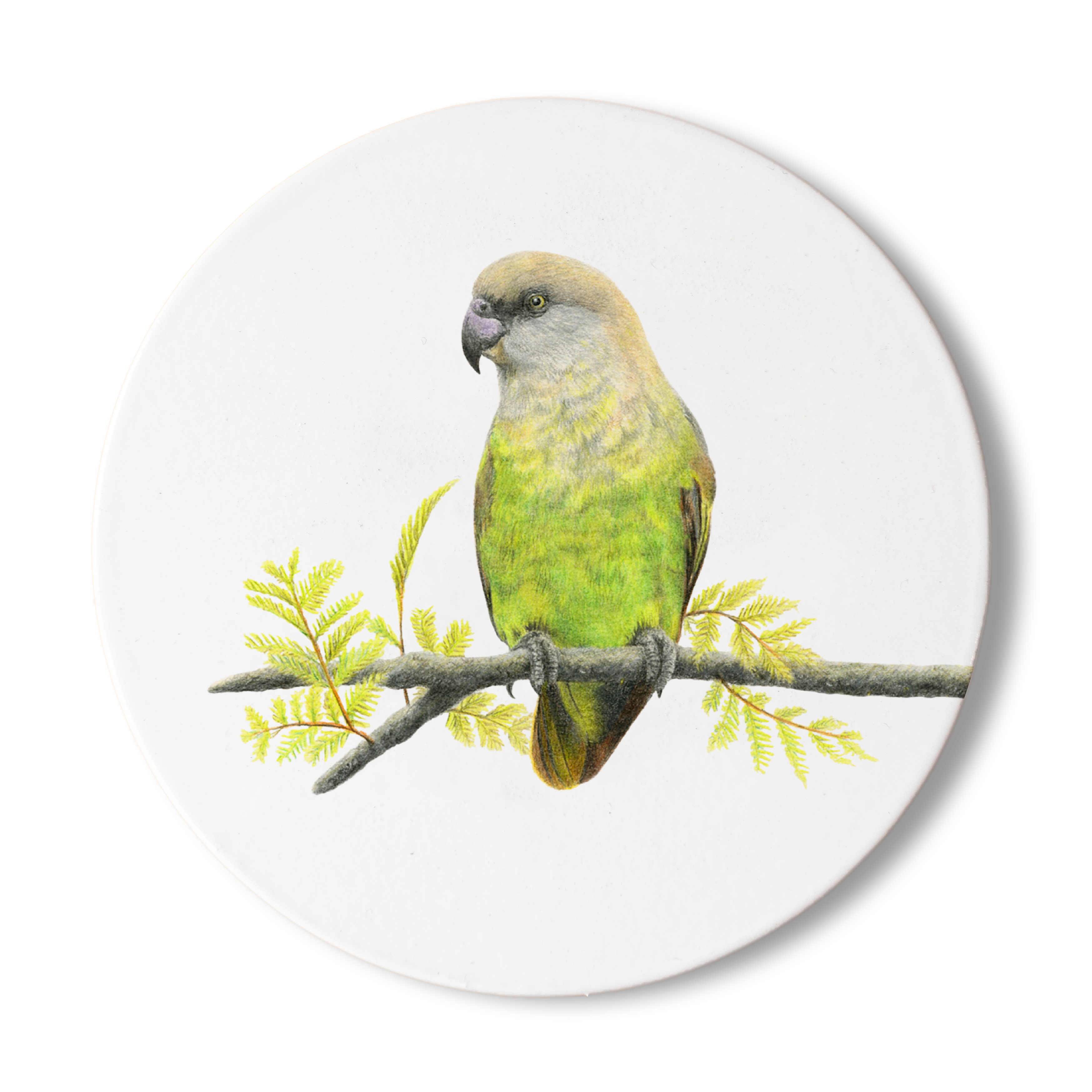 BHP_7a7b7852-076e-4abc-a9e6-c558f41a4654.png