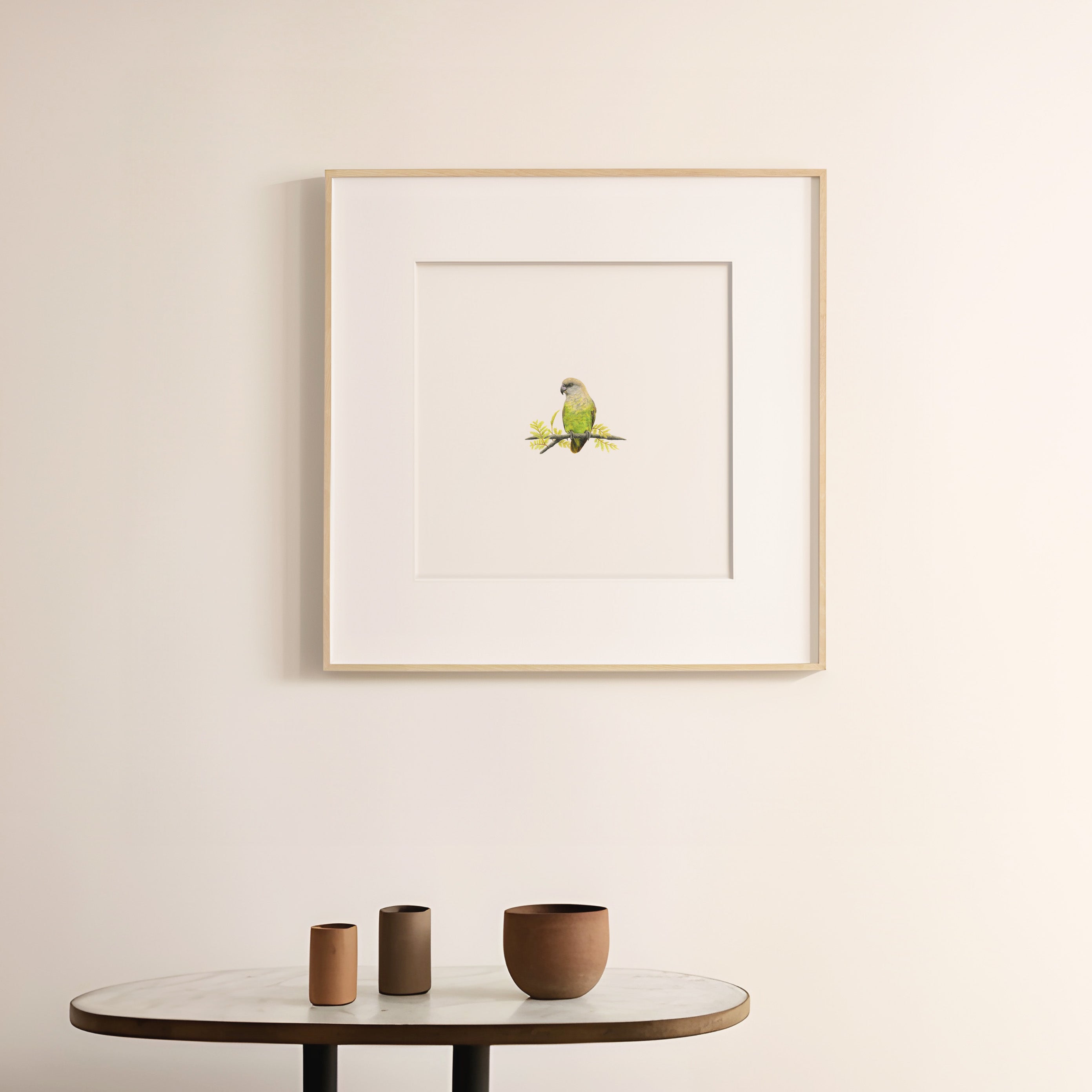 Brown Headed Parrot - The Original