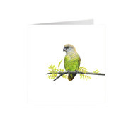 Brown Headed Parrot Greeting Card - BHP