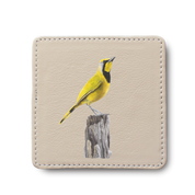 Bokmakierie Bird leather coaster by South African wildlife artist Matthew Bell