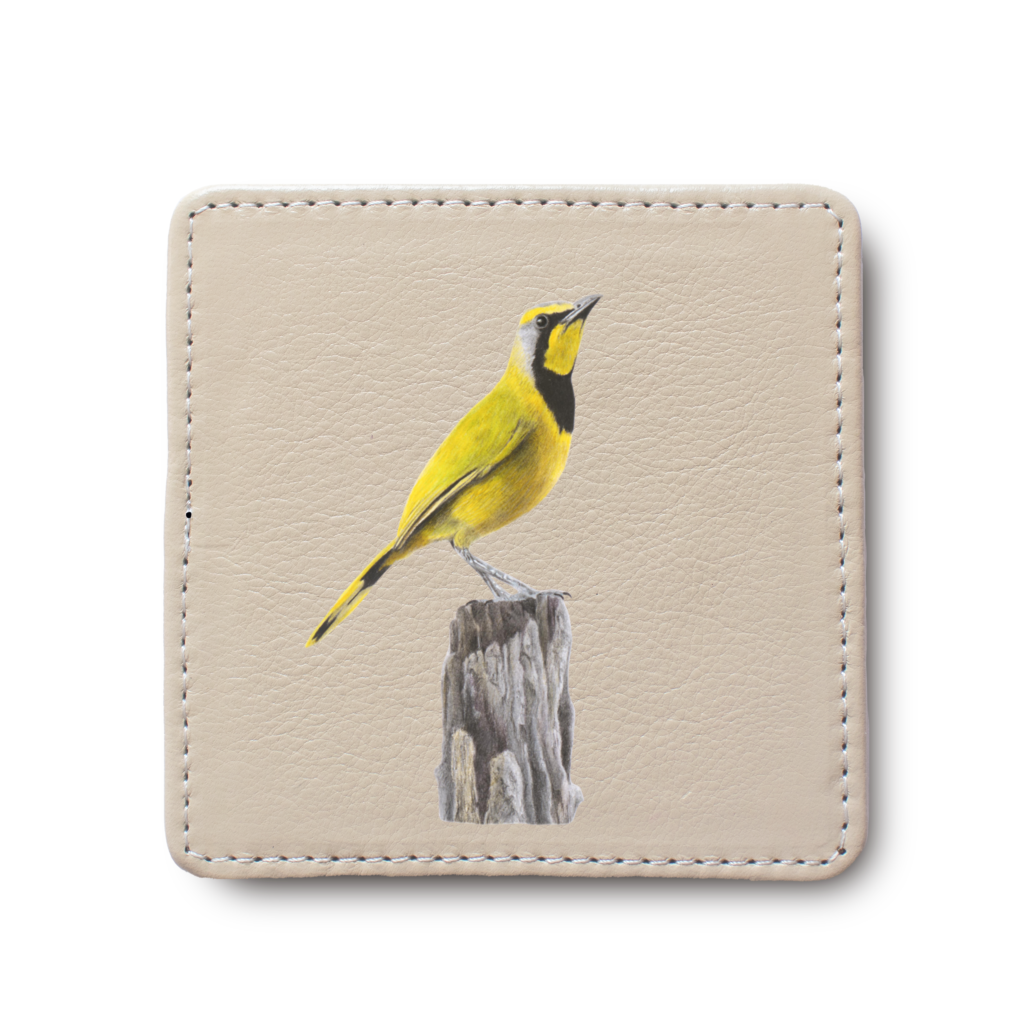 Bokmakierie Bird leather coaster by South African wildlife artist Matthew Bell