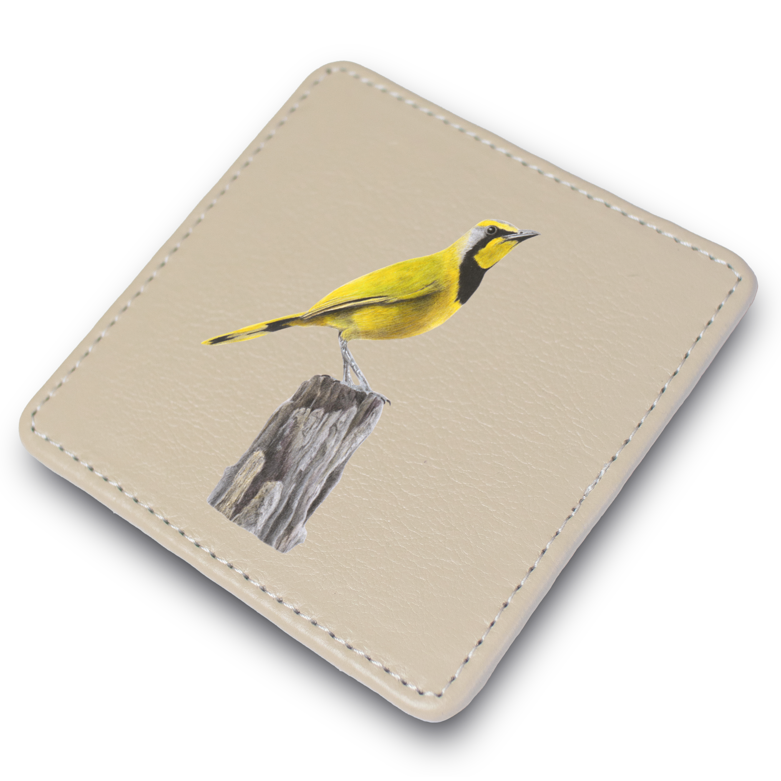Bokmakierie Leather Coaster