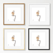 Barn Owl - BO