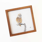 Kiaat wood framed miniature artwork of a Barn Owl, part of wildlife artist Matthew Bell's birds of South Africa gallery