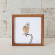 Kiaat wood framed miniature artwork of a Barn Owl, part of wildlife artist Matthew Bell's birds of South Africa gallery