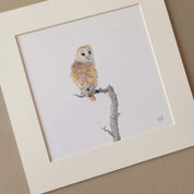 Barn Owl South African bird artwork