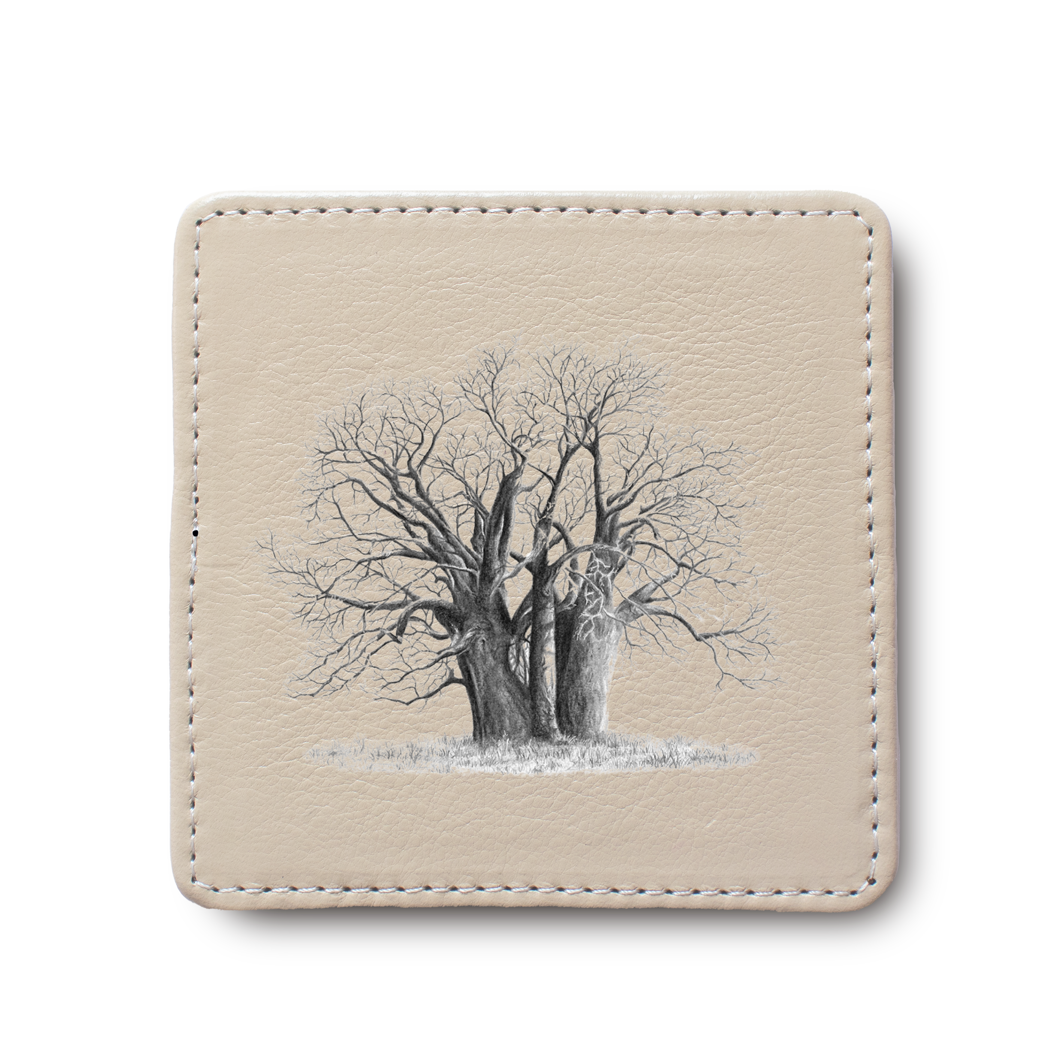 African Baobab Tree  leather coaster by South African wildlife artist Matthew Bell