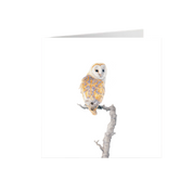 Barn Owl Greeting Card - BO