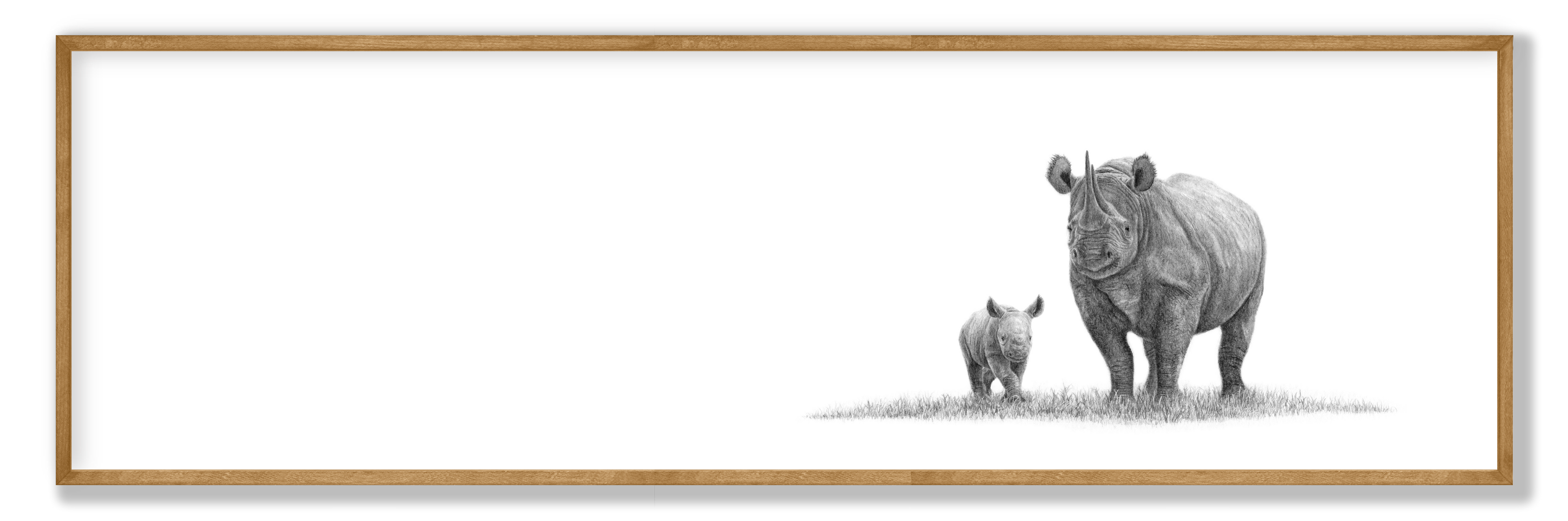 Black Rhino Panorama