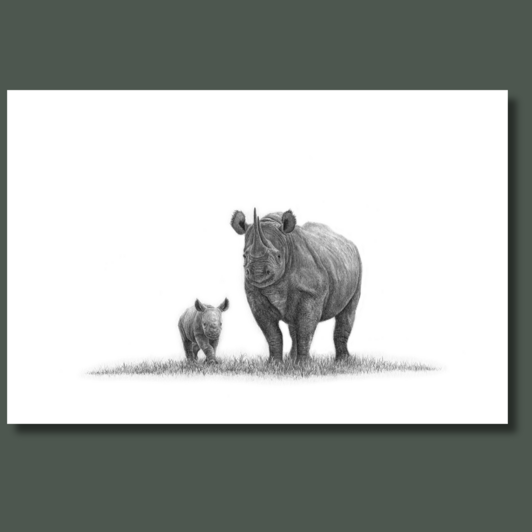 African Black Rhino's canvas print artwork