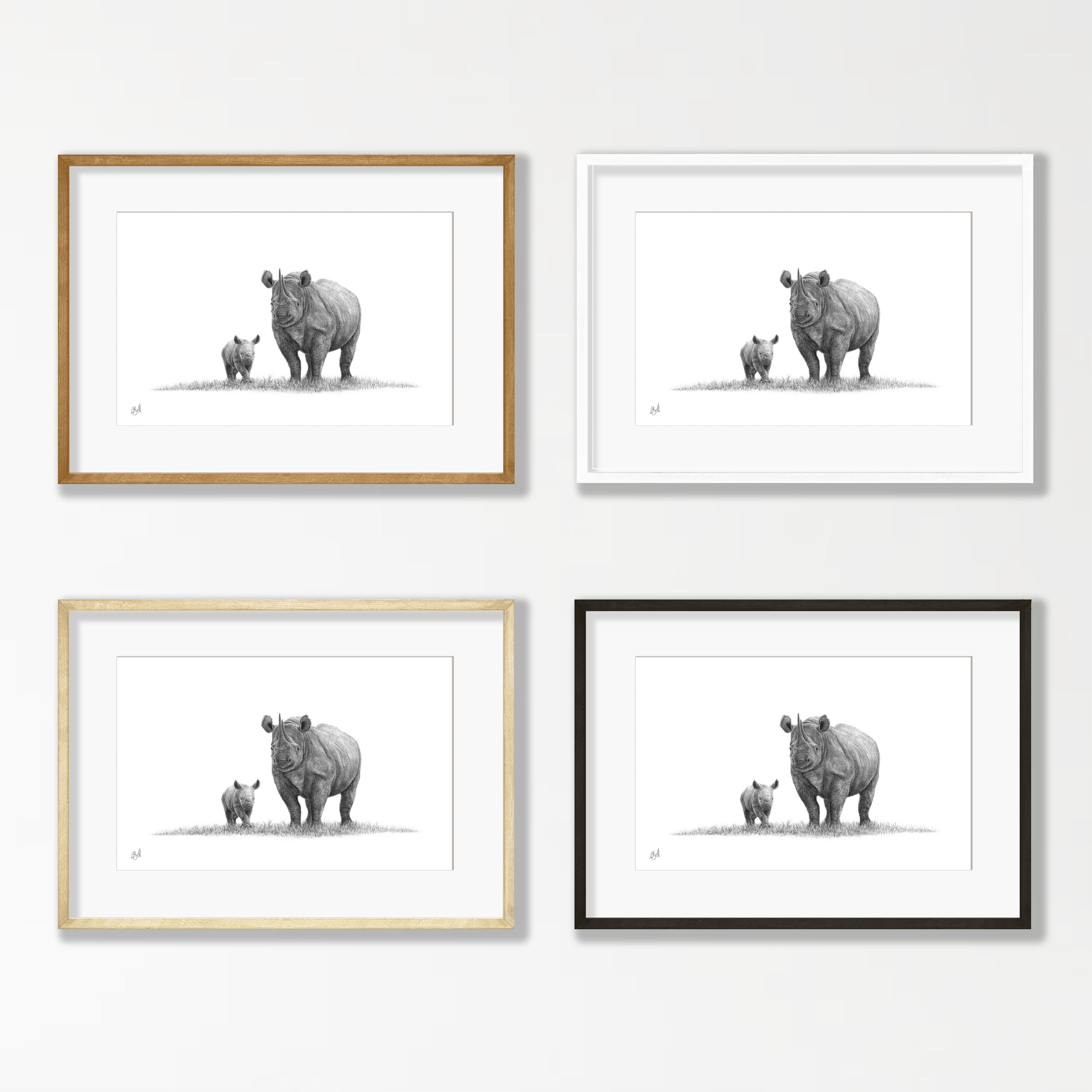 Black Rhino Mother and Calf - BR3
