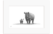 Black Rhino Mother and Calf - BR3