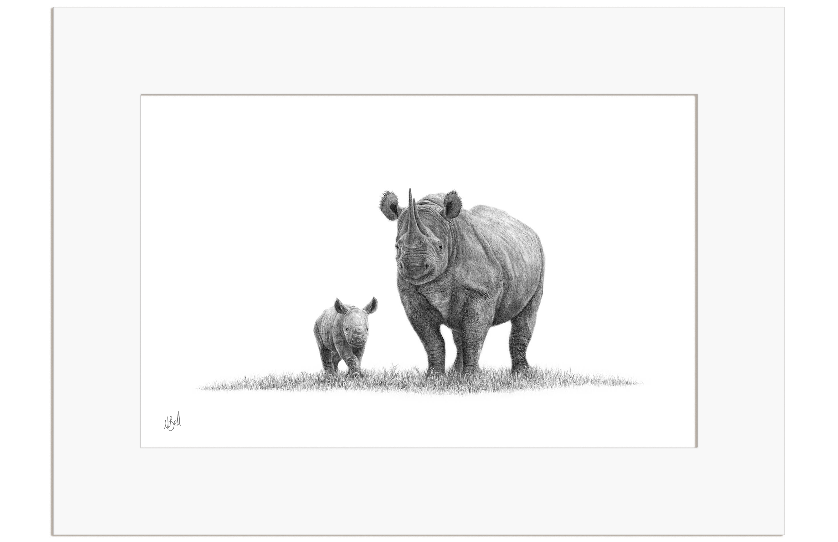 Black Rhino Mother and Calf - BR3