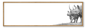 Black Rhino Panorama