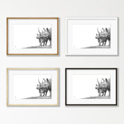 Black Rhino Mother and Calf - BR4