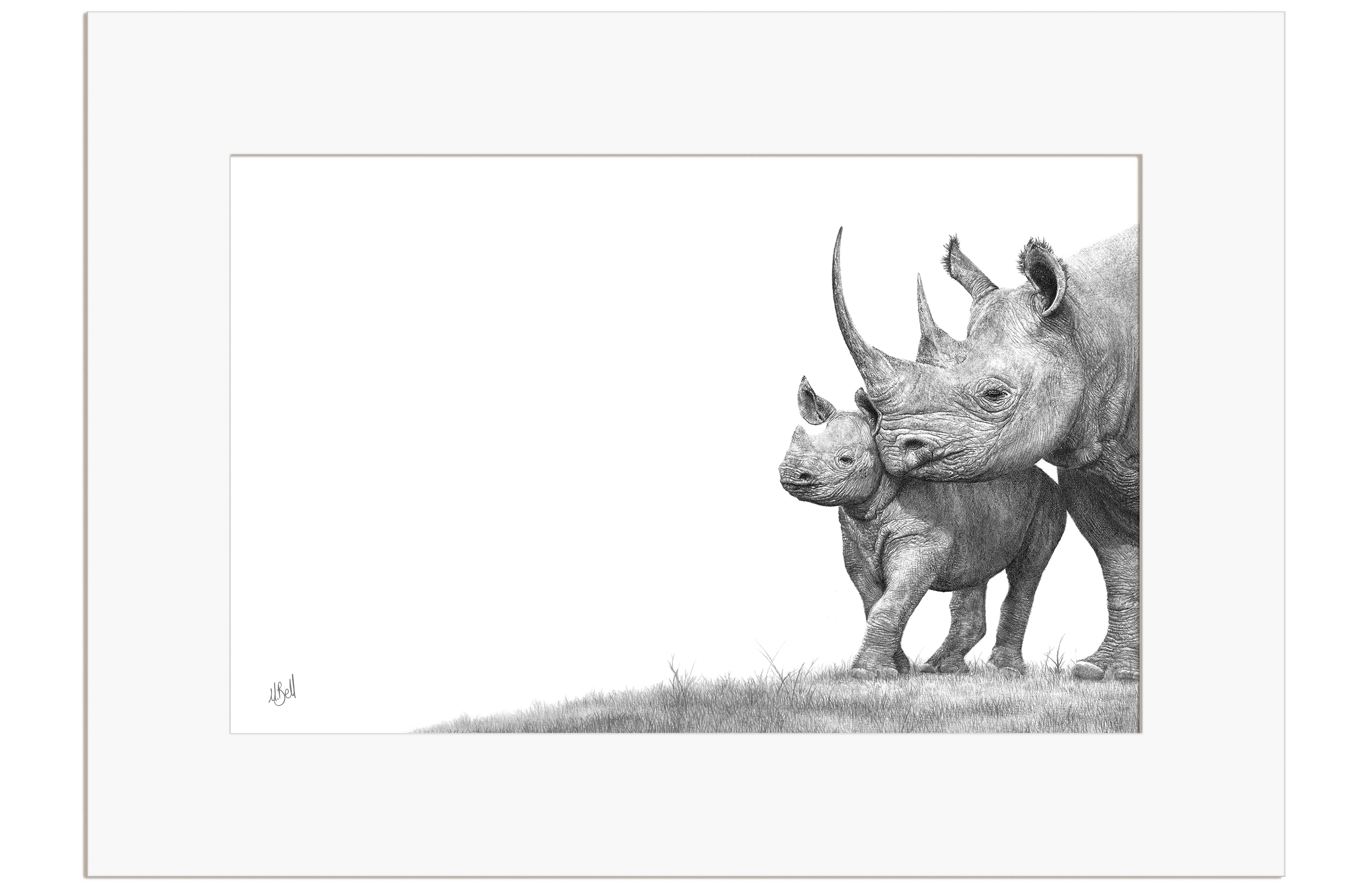 Black Rhino Mother and Calf - BR4