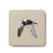 Black Shouldered Kite Bird leather coaster by South African wildlife artist Matthew Bell