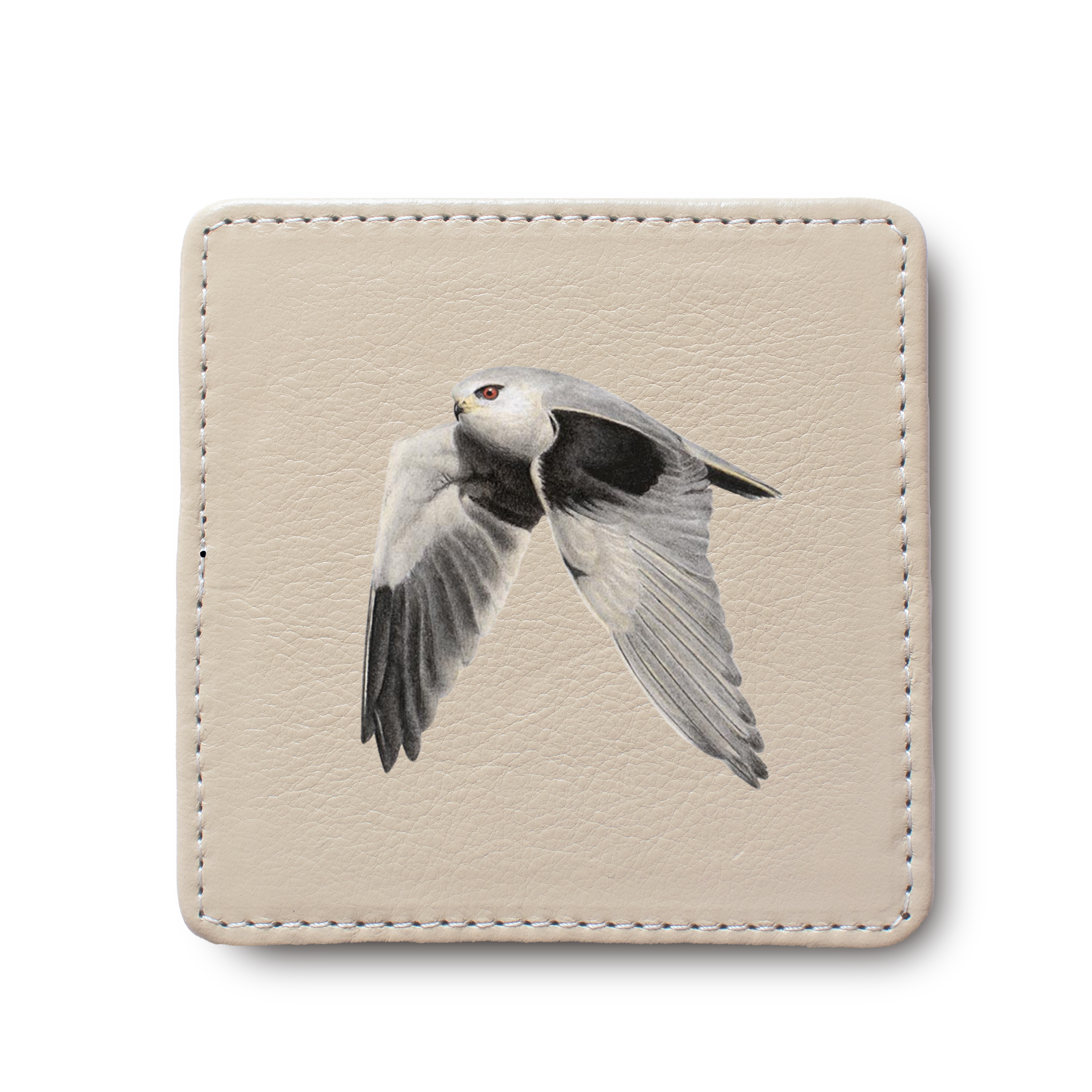 Black Shouldered Kite Bird leather coaster by South African wildlife artist Matthew Bell