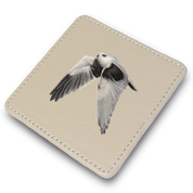 Black Shouldered Kite Leather Coaster
