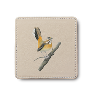 Bearded Scrub Robin Bird leather coaster by South African wildlife artist Matthew Bell
