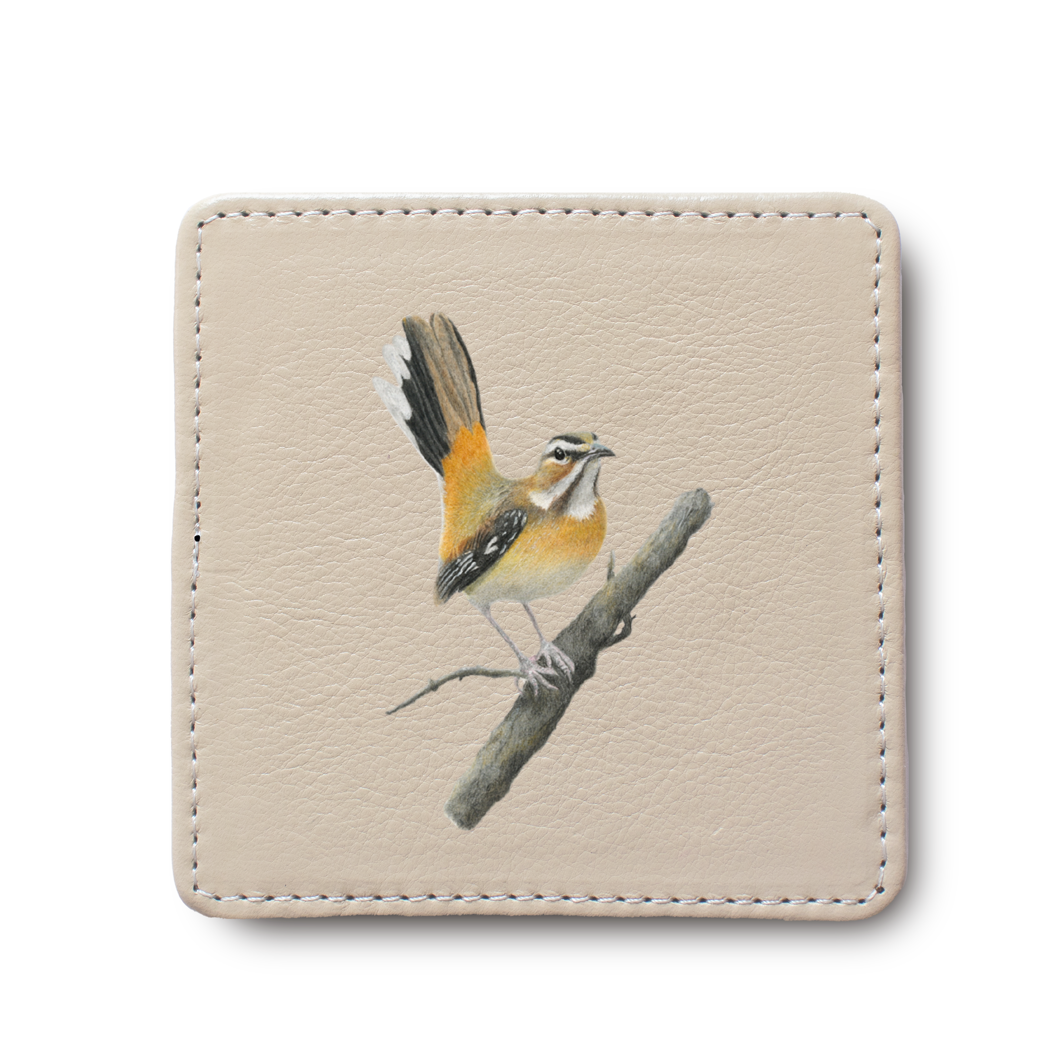 Bearded Scrub Robin Bird leather coaster by South African wildlife artist Matthew Bell