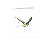 Barn Swallow Greeting Card - BSW