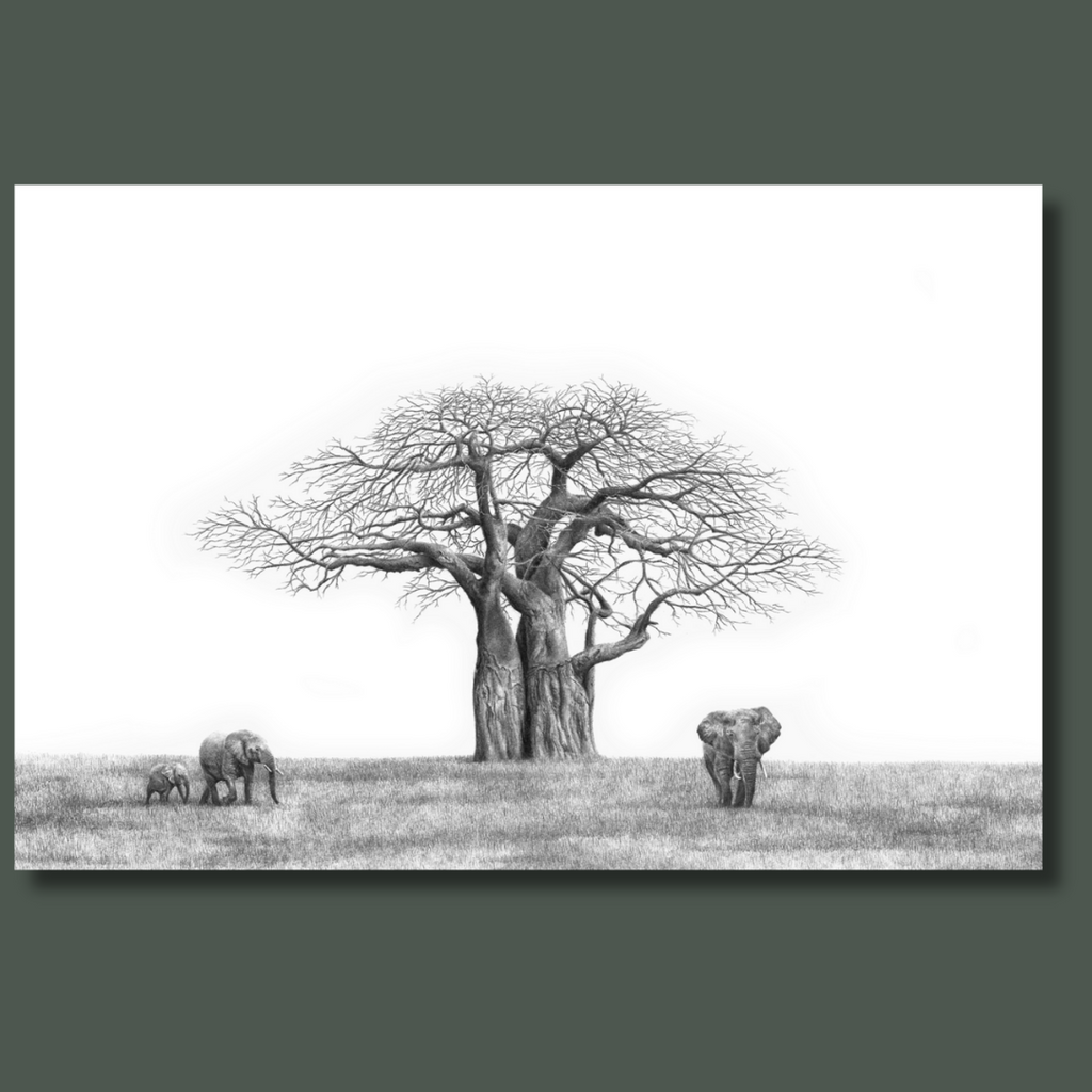 African Baobab Tree and Elephants in Botswana wildlife art canvas print