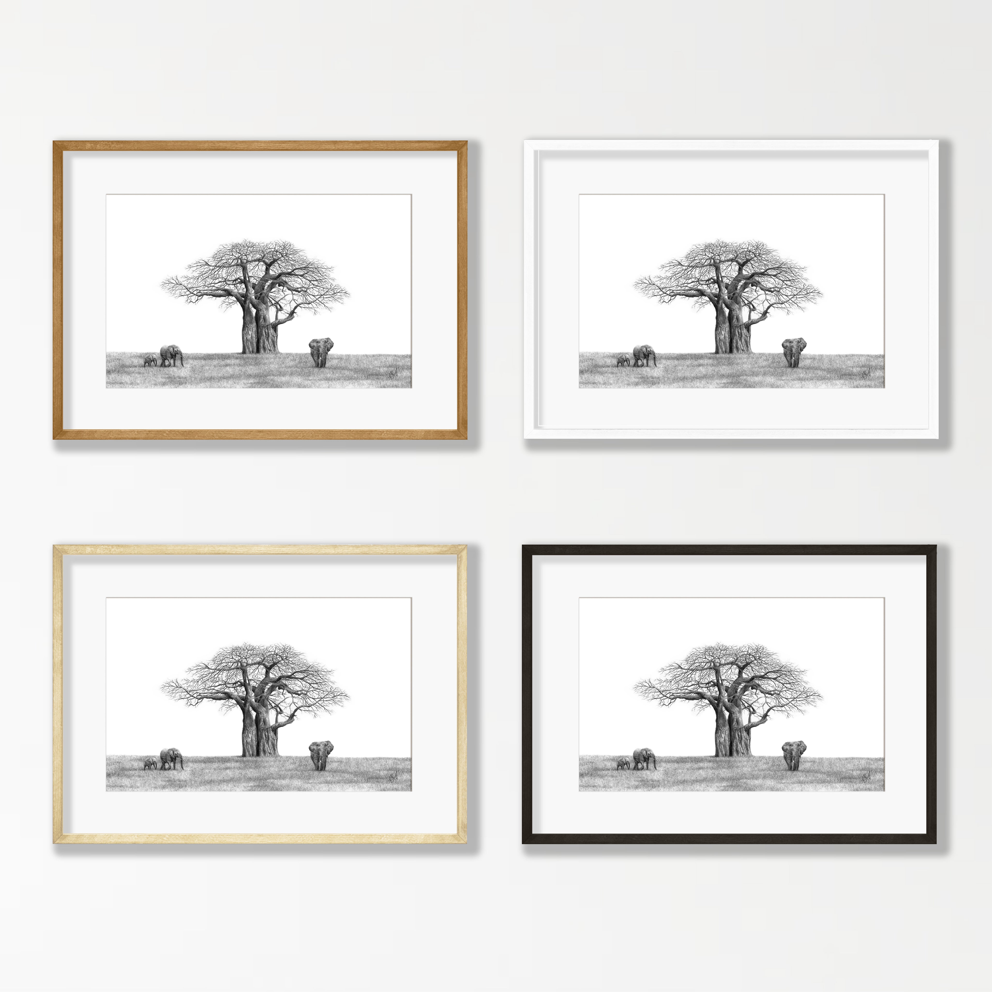 African Baobab Tree and Elephants - BT1