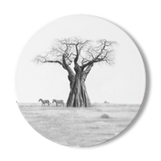 Baobab Tree and Zebras Wooden Coaster - BT2