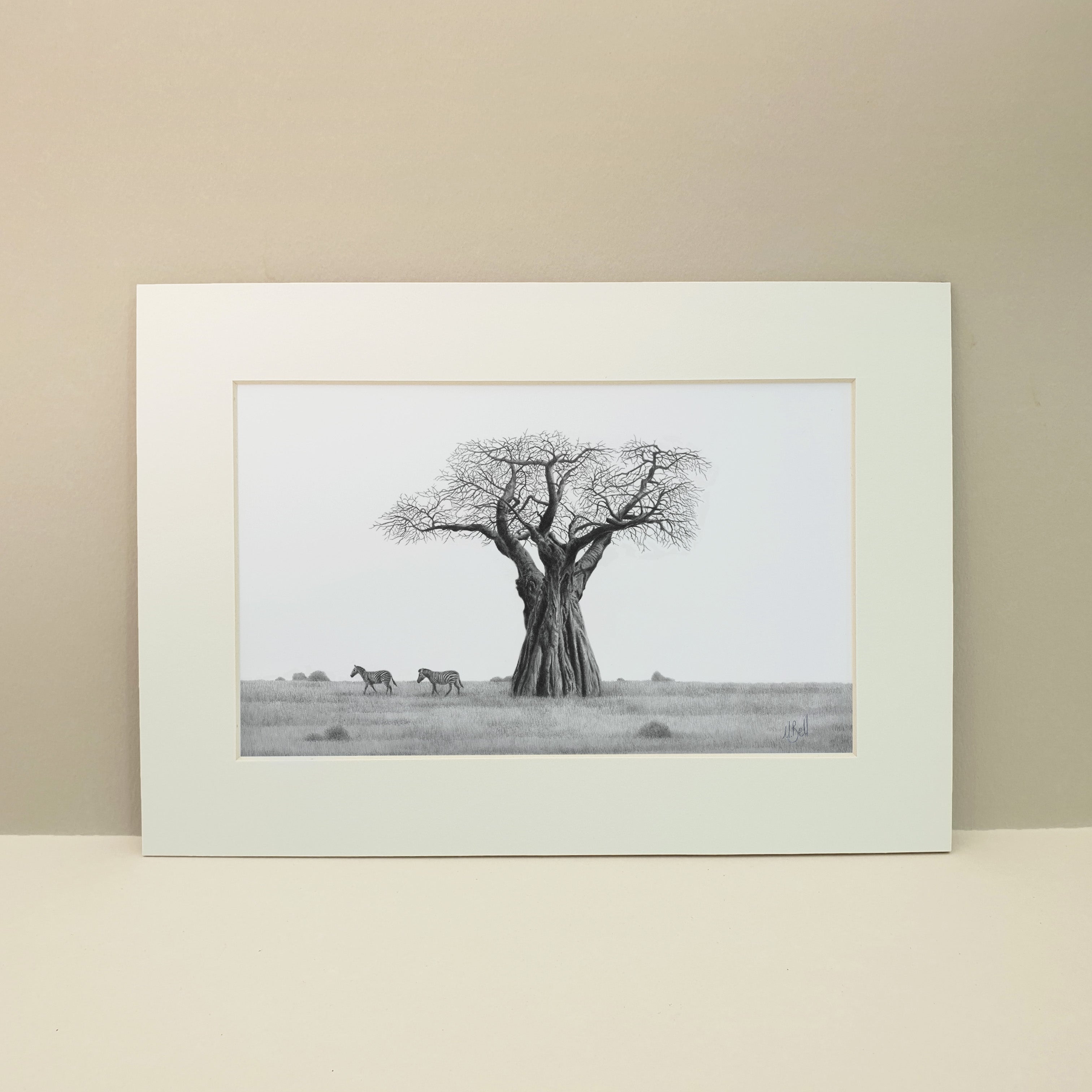 African Baobab Tree with zebras graphite pencil drawing