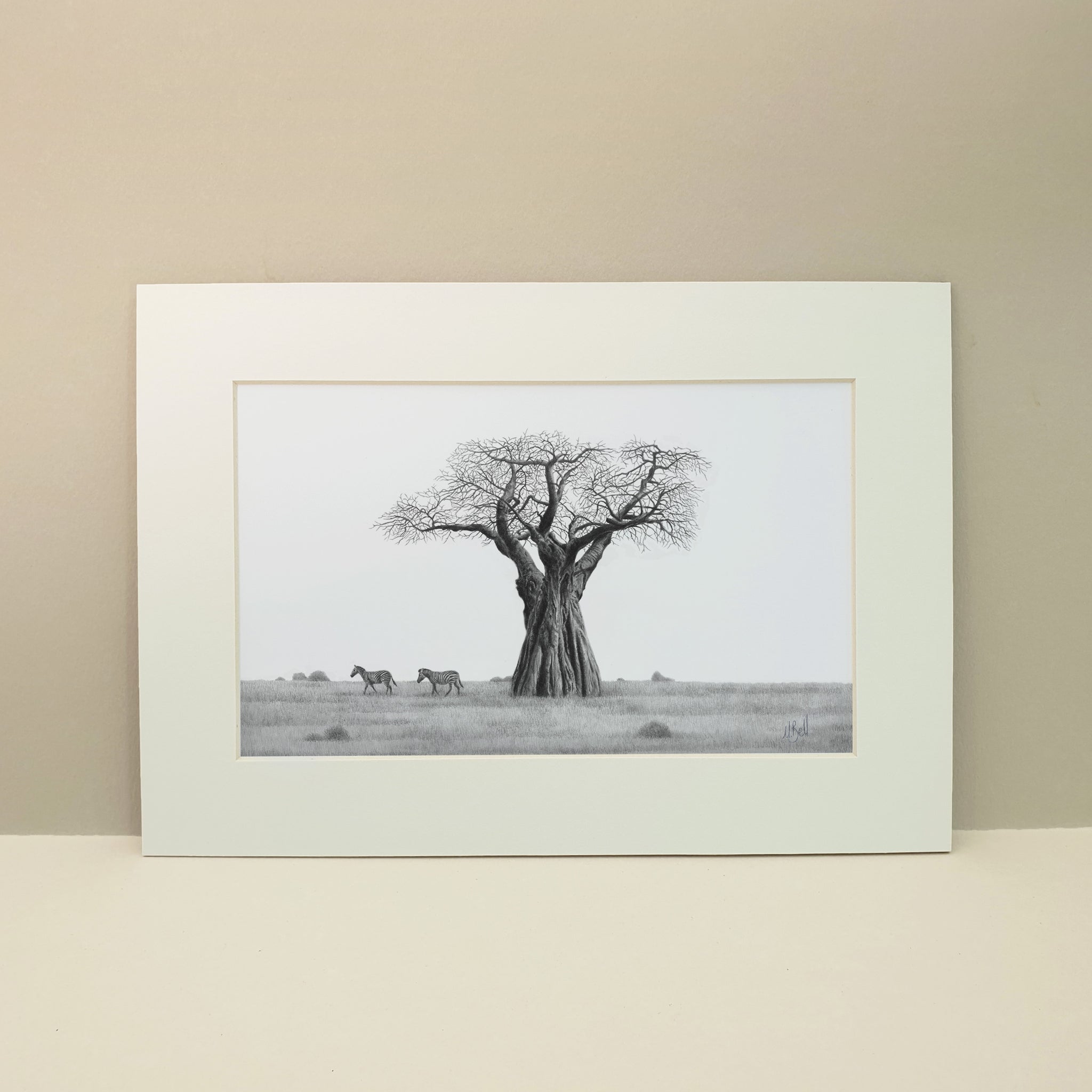 African Baobab Tree with zebras graphite pencil drawing