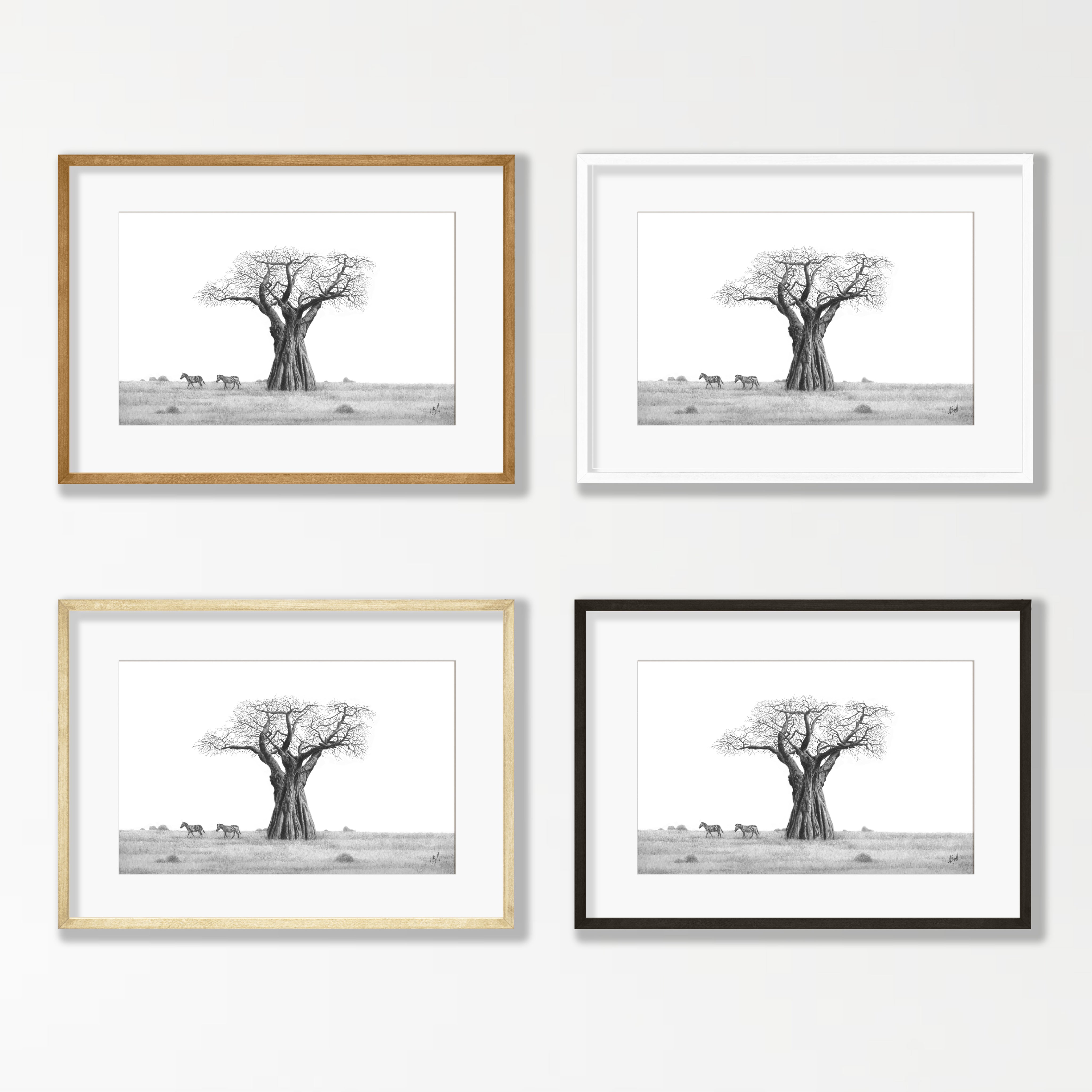 African Baobab Tree and Zebras - BT2