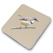 Bar Throated Apalis Leather Coaster