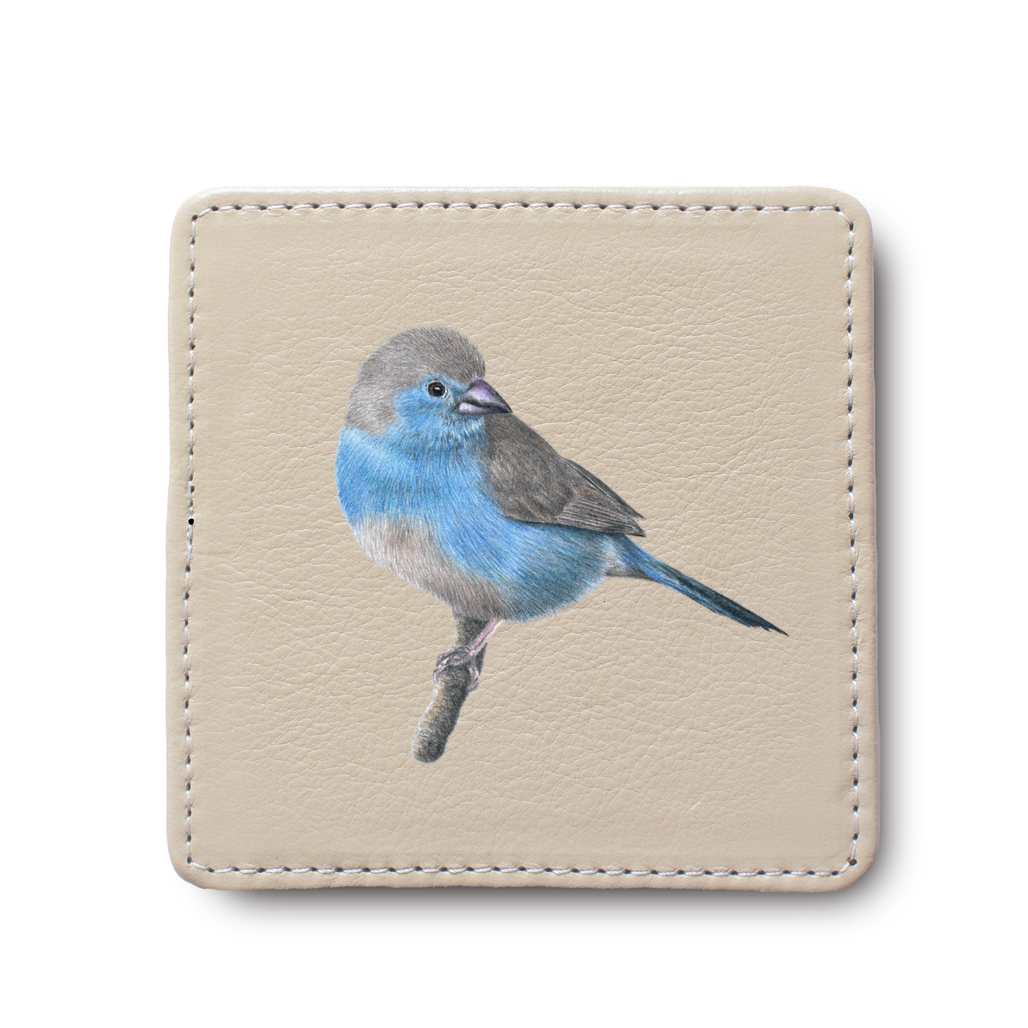 Blue Waxbill Bird leather coaster by South African wildlife artist Matthew Bell