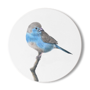 Blue Waxbill Wooden Coaster - BWX