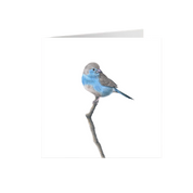 Blue Waxbill Greeting Card - BWX