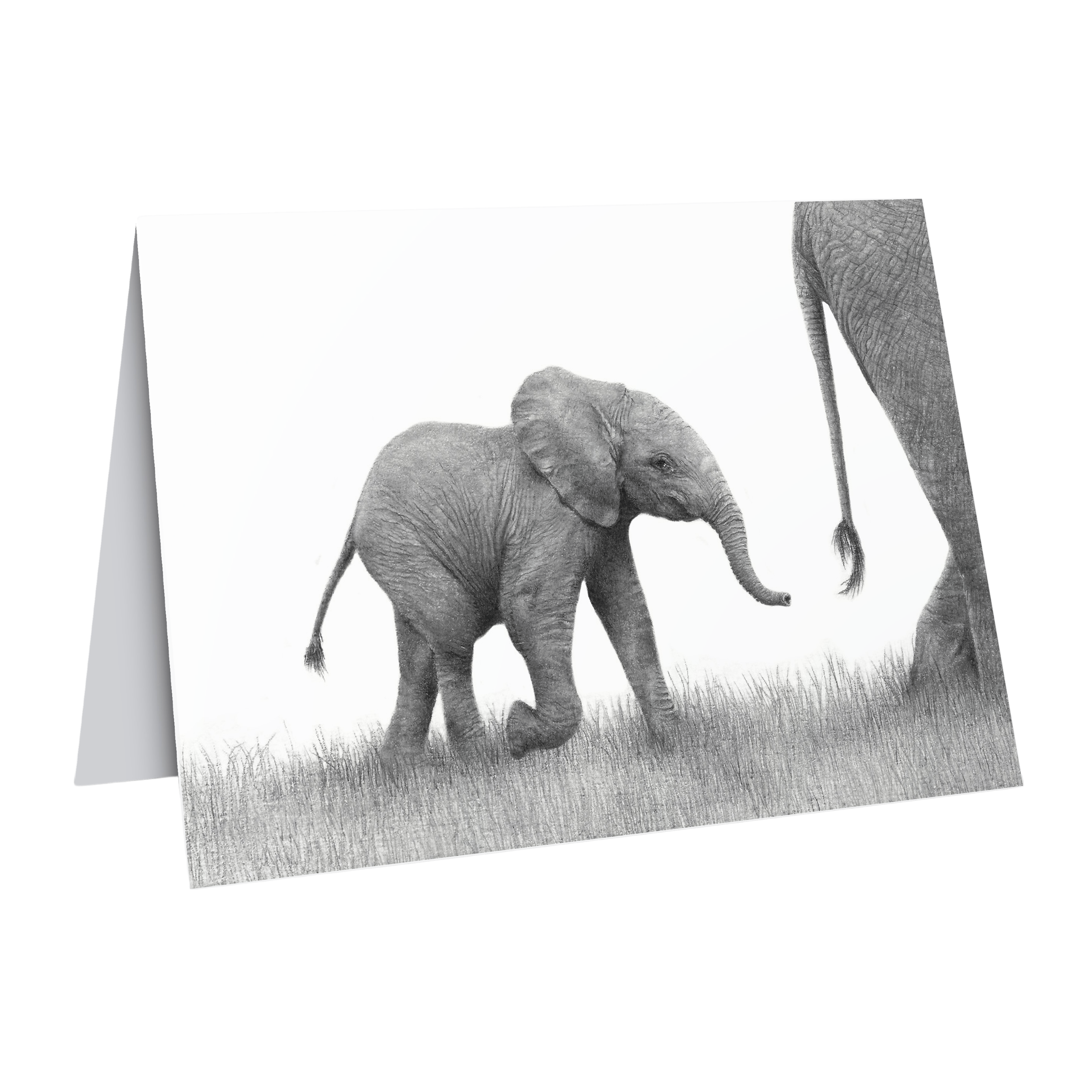 gift card featuring a baby elephant