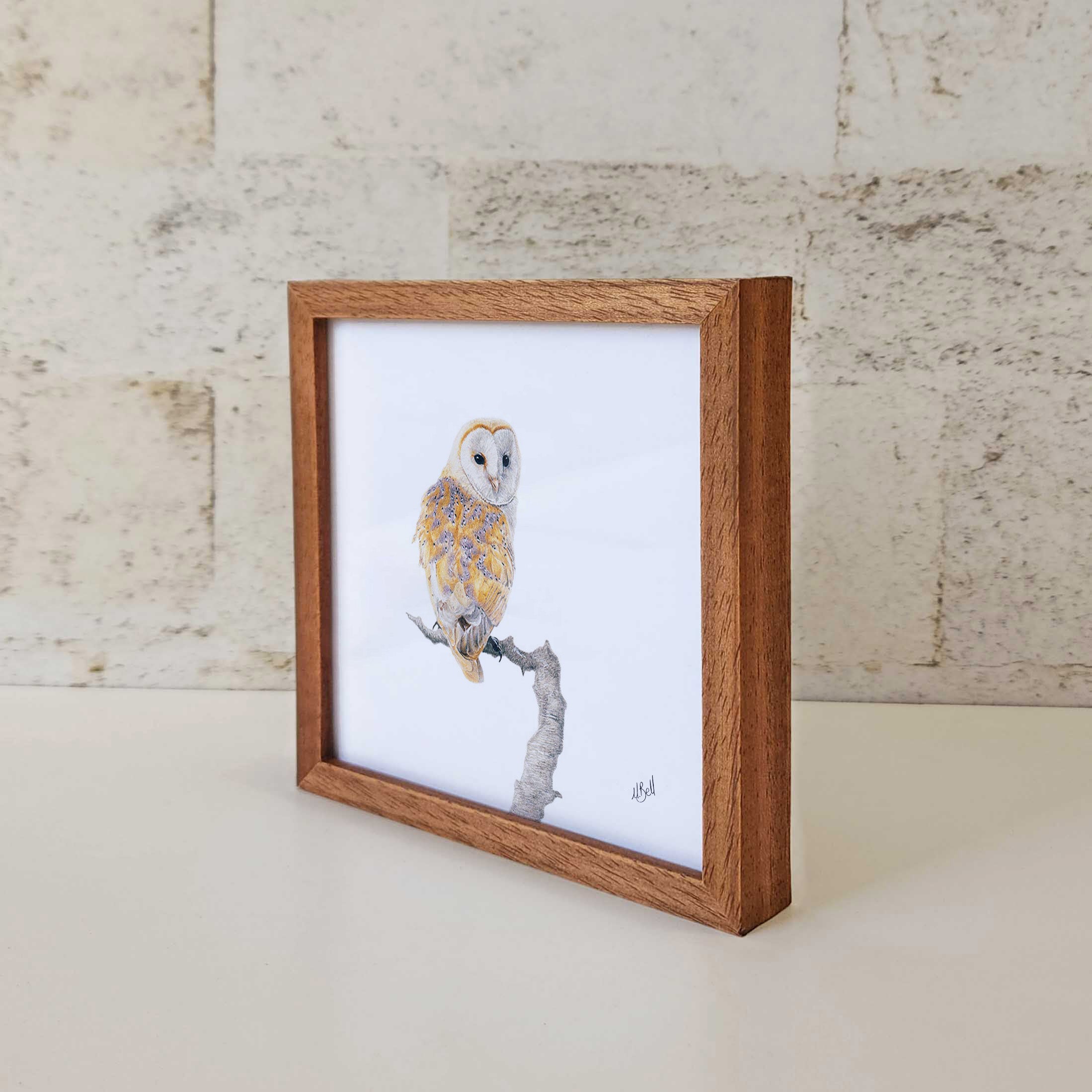 Kiaat wood framed miniature artwork of a Barn Owl, part of wildlife artist Matthew Bell's birds of South Africa gallery