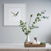 South African bird drawing of a Barn Swallow, framed, with wooden frame