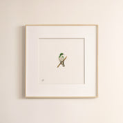 Klaas's Cuckoo - The Original