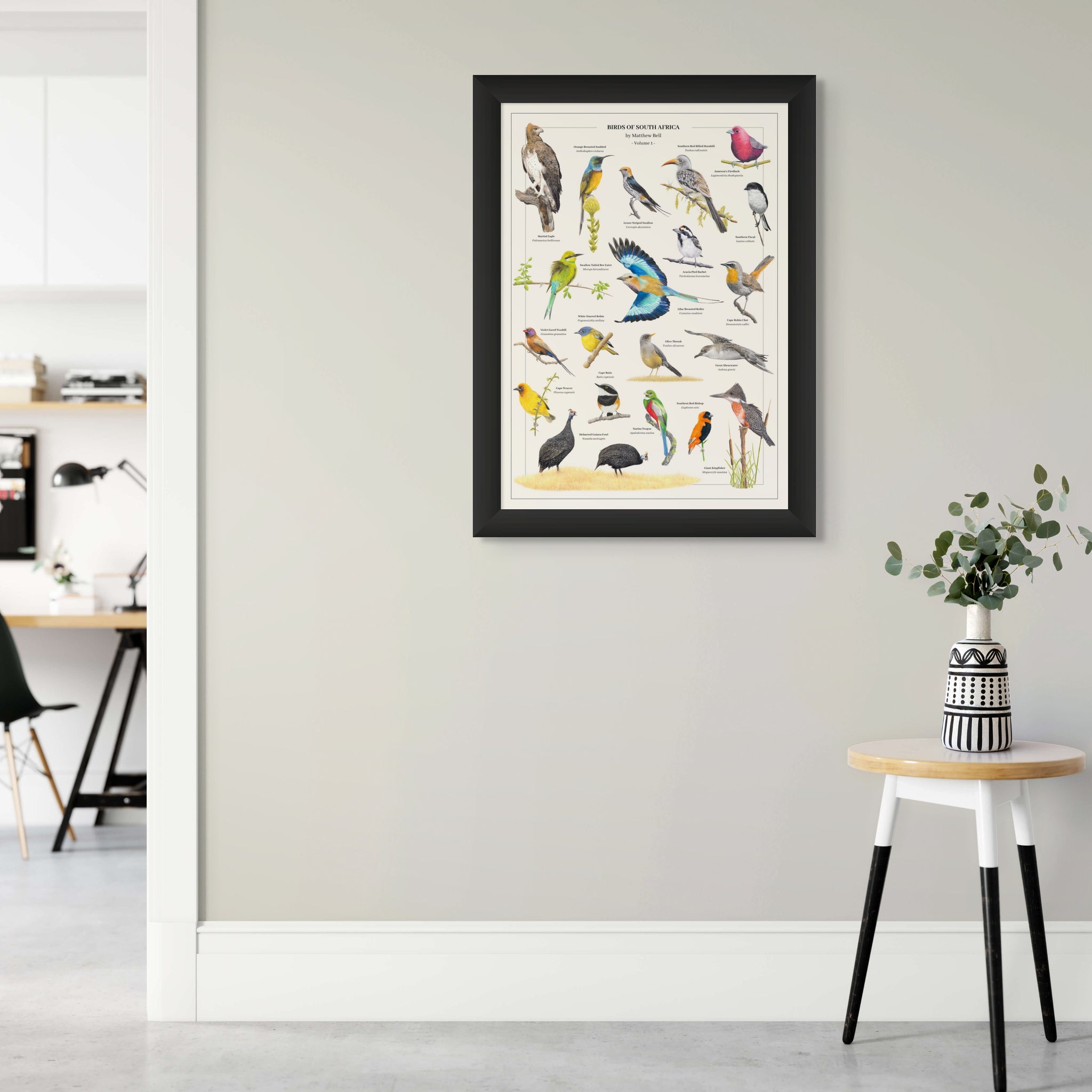 Birds of South Africa wall art wildlife poster by Matthew Bell