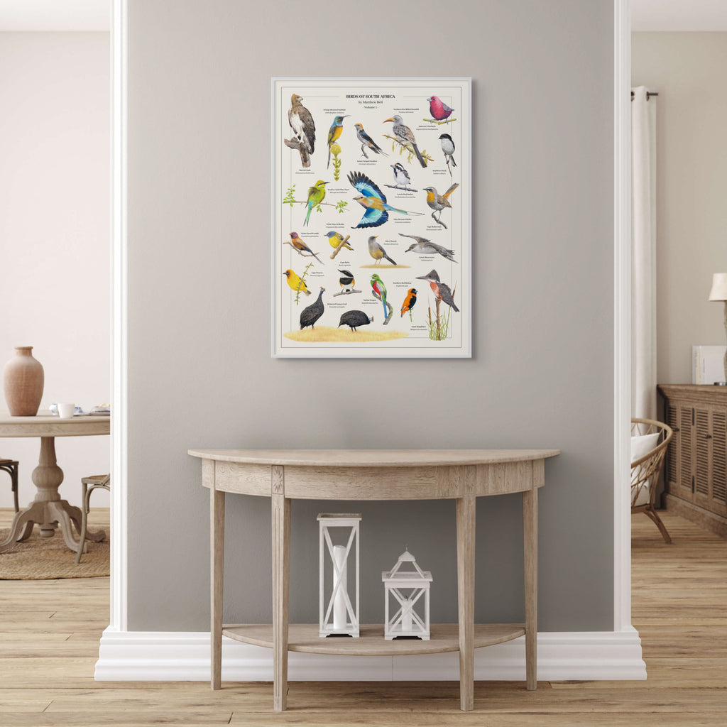 Birds of South Africa wall art wildlife poster by Matthew Bell