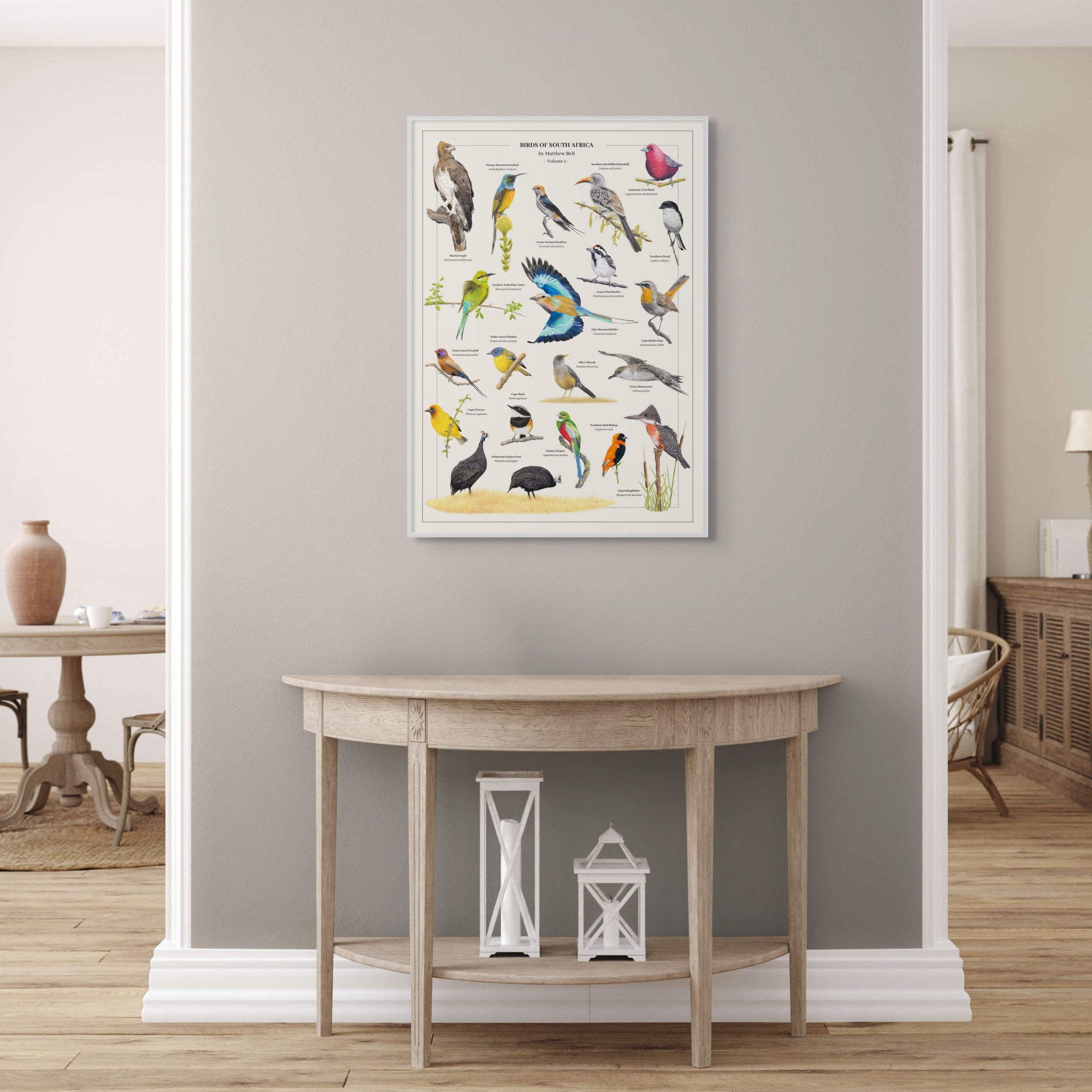 Birds of South Africa wall art wildlife poster by Matthew Bell